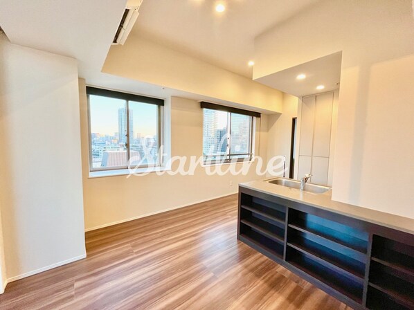 ザ・レジデンス赤坂檜町(旧ロイジェントパークス赤坂)の物件内観写真